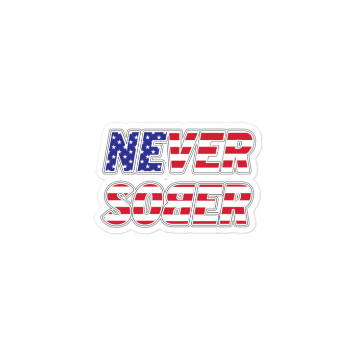 NS America Sticker - Image 2